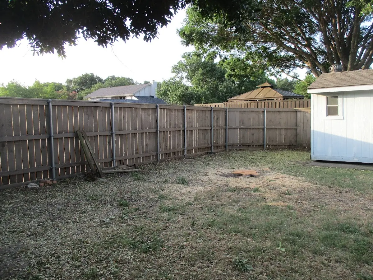 Cleared yard after professional tree removal in Noel
