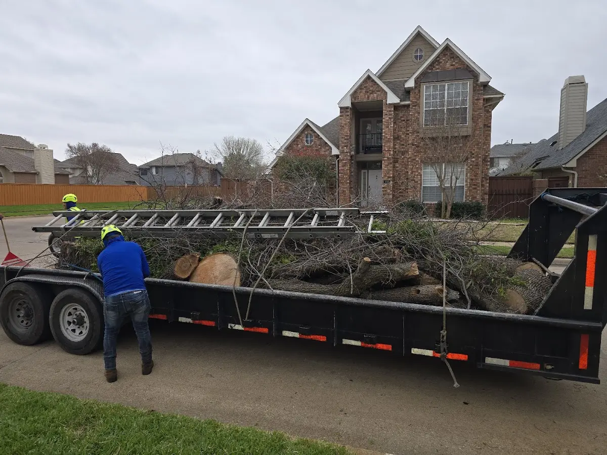 Expert Lot Clearing with proper safety equipment in Noel
